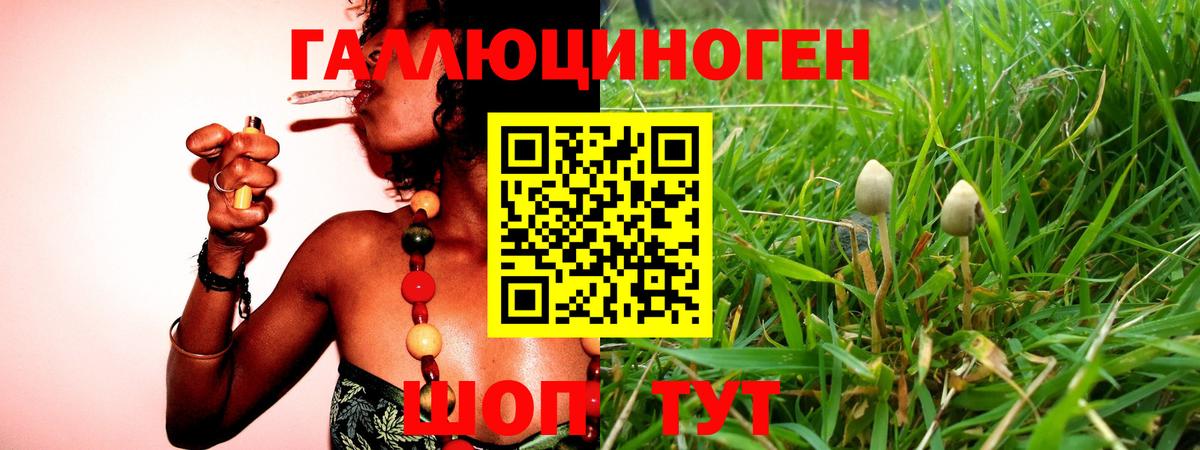 Архангельск  Галлюциногенные грибы мухоморы  Вход с VPN 
